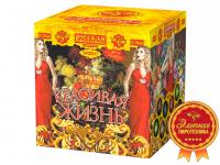 Красивая жизнь Фейерверк купить в Беломорске | belomorsk.salutsklad.ru