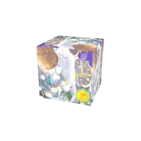 Новогодняя ночь Салют купить в Беломорске | belomorsk.salutsklad.ru