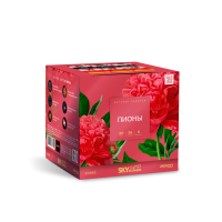 Пионы Салют купить в Беломорске | belomorsk.salutsklad.ru