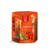 Тюльпаны Салют купить в Беломорске | belomorsk.salutsklad.ru
