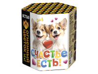 Счастье есть! Салют купить в Беломорске | belomorsk.salutsklad.ru