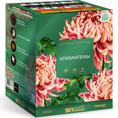Хризантемы Фейерверк купить в Беломорске | belomorsk.salutsklad.ru