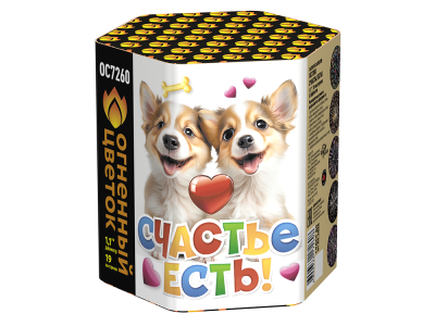 Счастье есть! Салют купить в Беломорске | belomorsk.salutsklad.ru