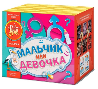 Мальчик или девочка М Фейерверк купить в Беломорске | belomorsk.salutsklad.ru